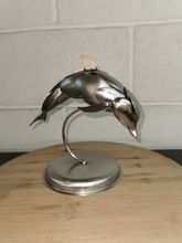 Dolphin