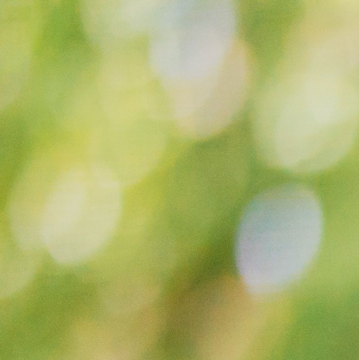 unsplash_vvW2WF-999g