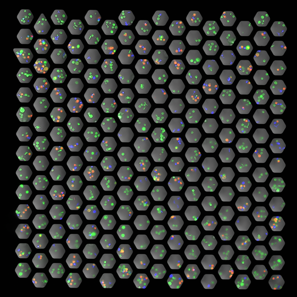 190625_unmixed(26_updated)___serialized1