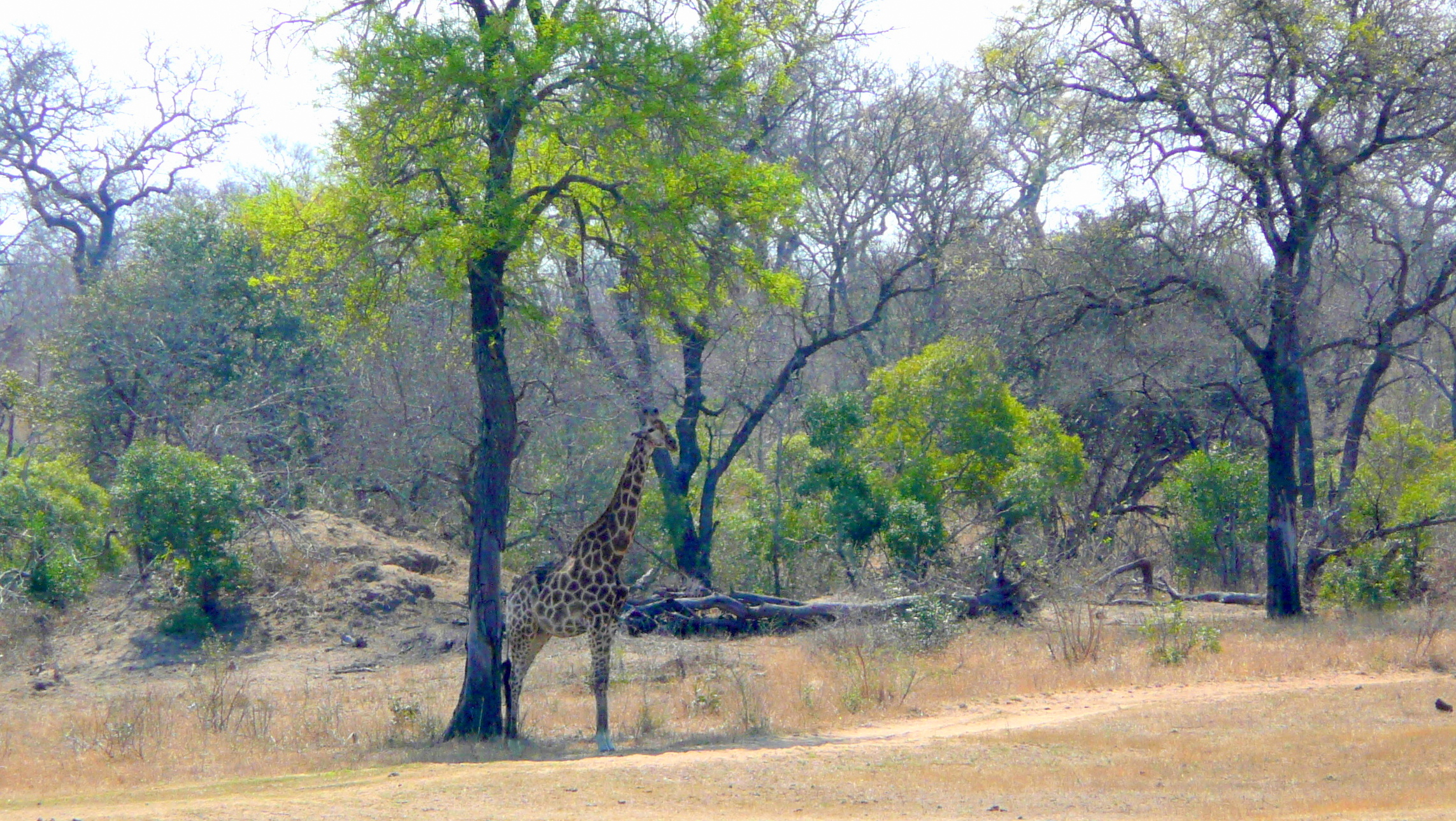 SA200902-054