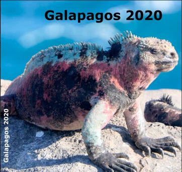 Fotobuch Galap