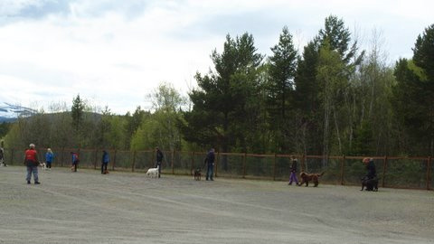 Grunnkurs våren 2011