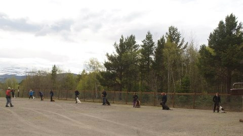 Grunnkurs våren 2011