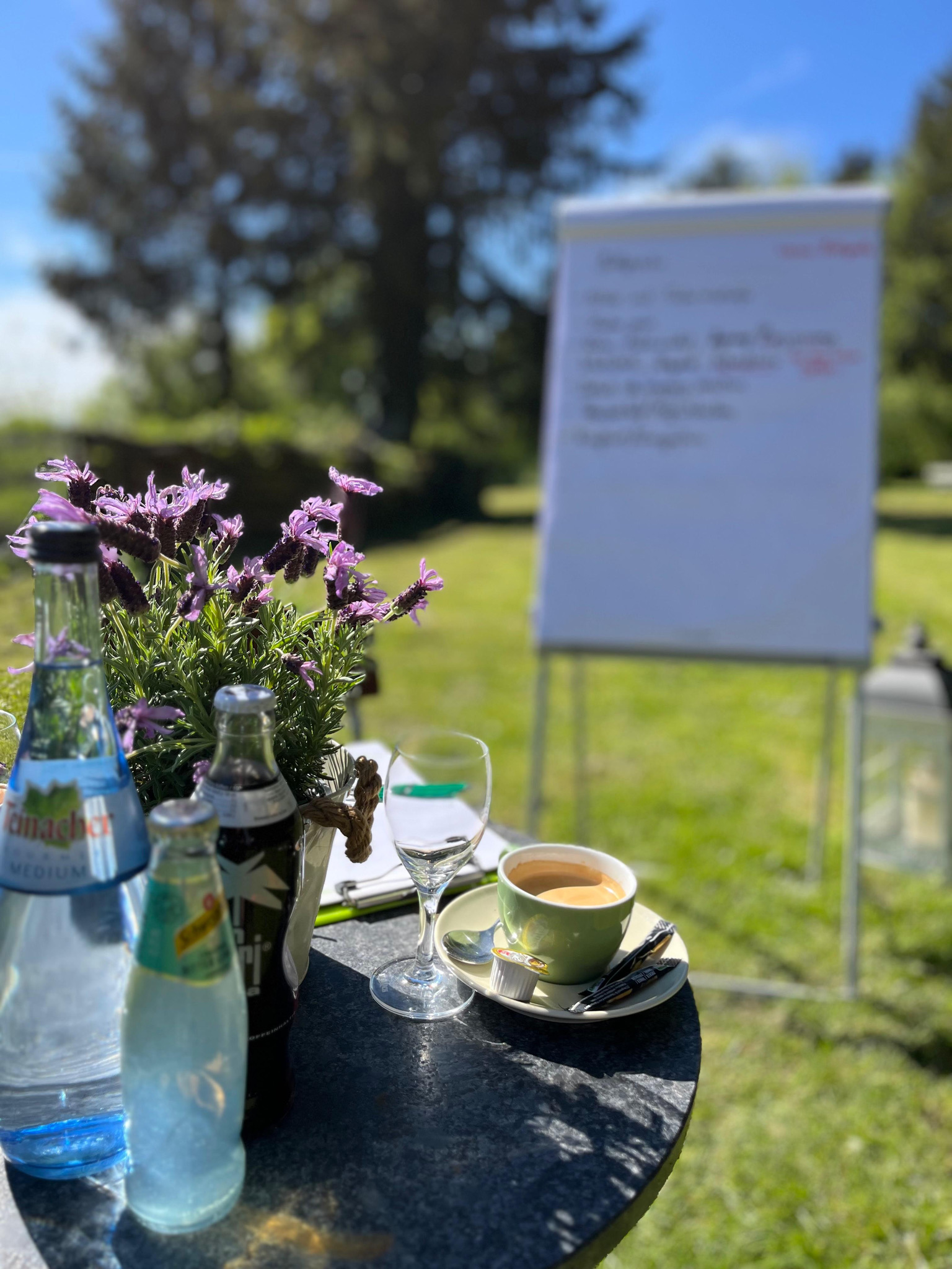 beta_hof_hoefen_wiese - 2