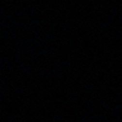 unsplash_t1Cbq4yuXXQ