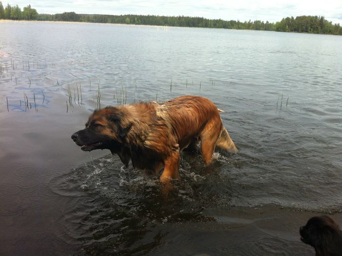 Njuter av vattnet...2012