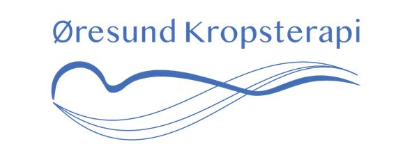 oresundkrop.dk