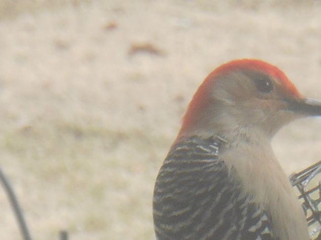 You don't know what kind of bird you are
Until you're given the food that helps you grow.