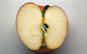 What you can find inside one apple can produce another apple and, from there, a whole lot more.
Similarly, one of the inner voices from the harmonization in one piece you're writing, by means of rhythmic transformation (same pitches in same order, with different note values), produces another theme, which may suggest another complete work.
The subject worked fugally in the G Major Op. 7 Voluntary, for example, whose entrance is preceded by a slow, 12 bar introduction, is derived from the same tenor line that was used to create an imitative passage in another work (Op. 8 Diapason Movement).
In an historical manner reminiscent of works of the same name written by the old English masters, this G Major Op. 7 Voluntary was conceived as a brief 4 voice piece subjected to fugal procedure preceded by an even shorter introductory passage employing imitations; as such, it can be termed a 
