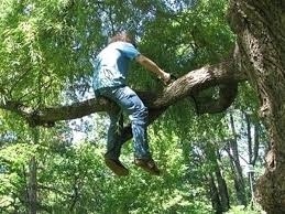 How you're sitting on a piece of wood can have everything to do with your success.
