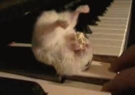 When you're playing the organ, you're doing 3 things, all by yourself:
You're pressing notes, working the machine, and being a musician.
There are times however, when you have some help.