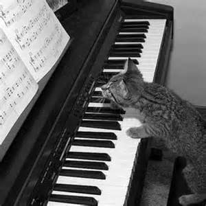 (con't from Part II)
Sight reading music has everyone curious about how it's done (photo).
This skill is very much akin to rapid reading (sometimes called 