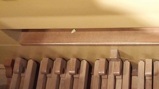 The choice of heel or toe in organ playing is governed by several factors. among which are:  1) the type of pedalboard upon which the organist must play (i.e., the length and shape of the pedal keys and how they're arranged), 2) the range of the pedalboard where the feet are playing, 3) the type of music being played and its date of composition, 4) what's going on with the hands at the time and the effect on the overall fulcrum (i.e., the coordination of the whole body), and 5) to a lesser extent, on mechanical action instruments, how stiff the pedals keys are to play, because of linkage.
Up until the 19th century Germany led the world in organ building, and all of the early, historic organs built along Germanic lines were supplied with a pedalboard of shorter compass that what is found on modern organs -- usually only 2 octaves from D1 to D3, 25 notes; sometimes an additional note (bottom C) also would be supplied; the pedalboard was flat non-radiating with short natural keys and short, stubby sharps having a small projection facing the player (photo).
In the middle range of such a pedalboard the use of the heels was possible, if the organist wanted to; at the extreme ends the heels were awkward to employ and seldom, if ever, used; this was also true with the pedal clavichord, the usual practice instrument used at home in the days of J.S. Bach.
As there was no swell shoe, a ledge, railing, or small projection above the pedalboard was often supplied; such a projection was usually situated over the center of the pedals which the organist might use to 
