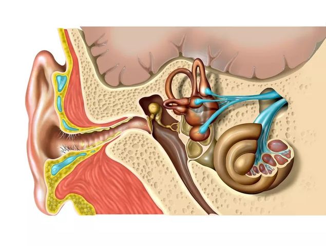 Listen for the listener.
Don't listen to it as you hear it, separate from that and listen to it as the listener hears it.
These are two different things.
Trust your ear -- your ear is your best friend, because it will lead your brain.
Brains often work too much, finally.