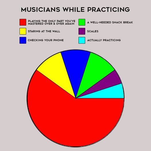 (con't from Part VII)
This pie chart (photo) isn't 