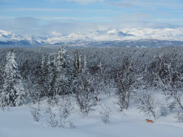 Treningstur i Valdres