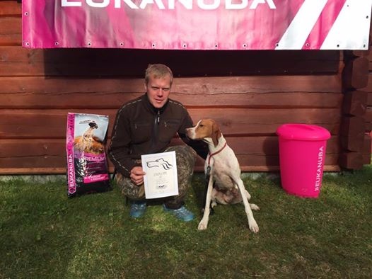 Artig at Orremåsans Lilje (Black Luckys Ingo - Tiurskogens Foxy Lady) plukker premier! På få starter har denne hunden 2 x 1.UK og 2 x 2.AK. Stolte oppdrettere gratulerer og håper de stiller denne talentfulle hunden mer!

