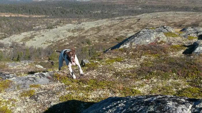 Ny dag og full fart