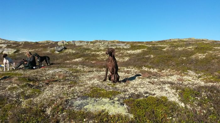 Freia soler seg i pausen