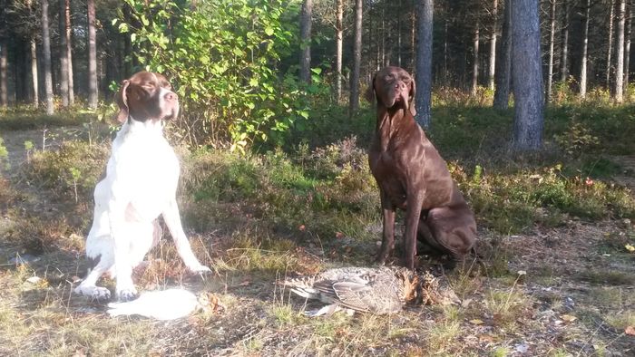 Min er størst!