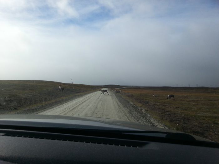 På hjemtur