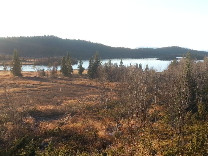 Så innom hytta