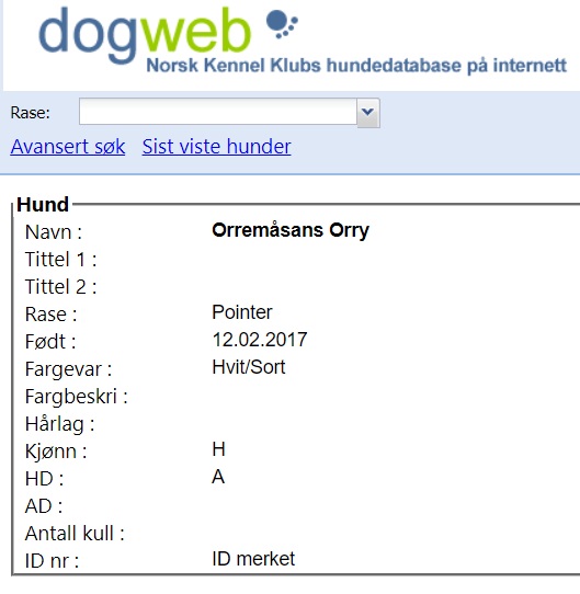 Vi håper flere fra fjorårets kull røntger. Det ser ihvertfall meget bra ut så langt med de to som er røntget. Ronja og Orry (Emil) fikk fri-A. 