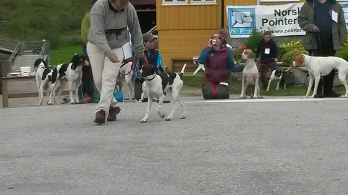 På valpeshow!