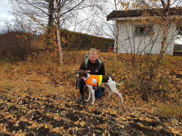Jaktpremie på Hamar etter flott fugelarbeid på fasan.
