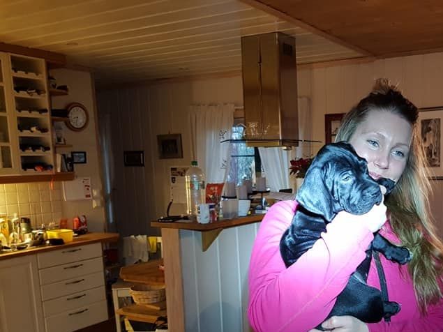 Valpene er seks uker, og de fleste valpekjøperne var innom i helga før de bestemte seg. Ikke lett å velge valp når alle er så fine, var det flere som sa. Her er Caroline og Andreas fra Åre som hadde førstevalget på hannhund med sin utvalgte.

Vi har holdt igjen ei tispe som kan være til salgs for en god valpekjøper. Ellers vurderer vi henne med en foravtale for rett person.