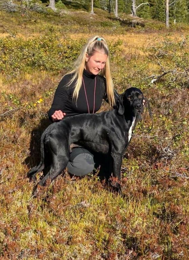 Tibazt til Caroline og Andreas fra Åre er kjempefornøyd med Tibazt og skriver at de har felt 22 ryper for han de fem første jaktdagene i august. Senere har det blitt flere. Ellers fikk han 3.AK på en litt uheldig dag på prøve. Han har to 2.UK fra i fjor. Vi ønsker Lykke til videre!