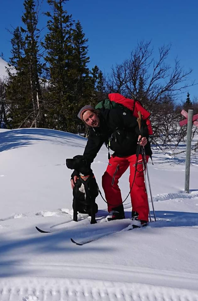 Fredag oppnådde Tibazt (Østagløttens Mattis - Orremåsans Freia) en flott 2. Pris ØKL.  Lørdag var det sterk vind og snødrev hele dagen. Tibazt gikk kjempegodt, fant fugl som den eneste på partiet og fikk en overbevisende 1. ØKL. De debuterer i segrarkkassen samme helg! Kjempegøy! Grattis og lykke til videre i VK til Caroline Wallin og Andreas Åsell!