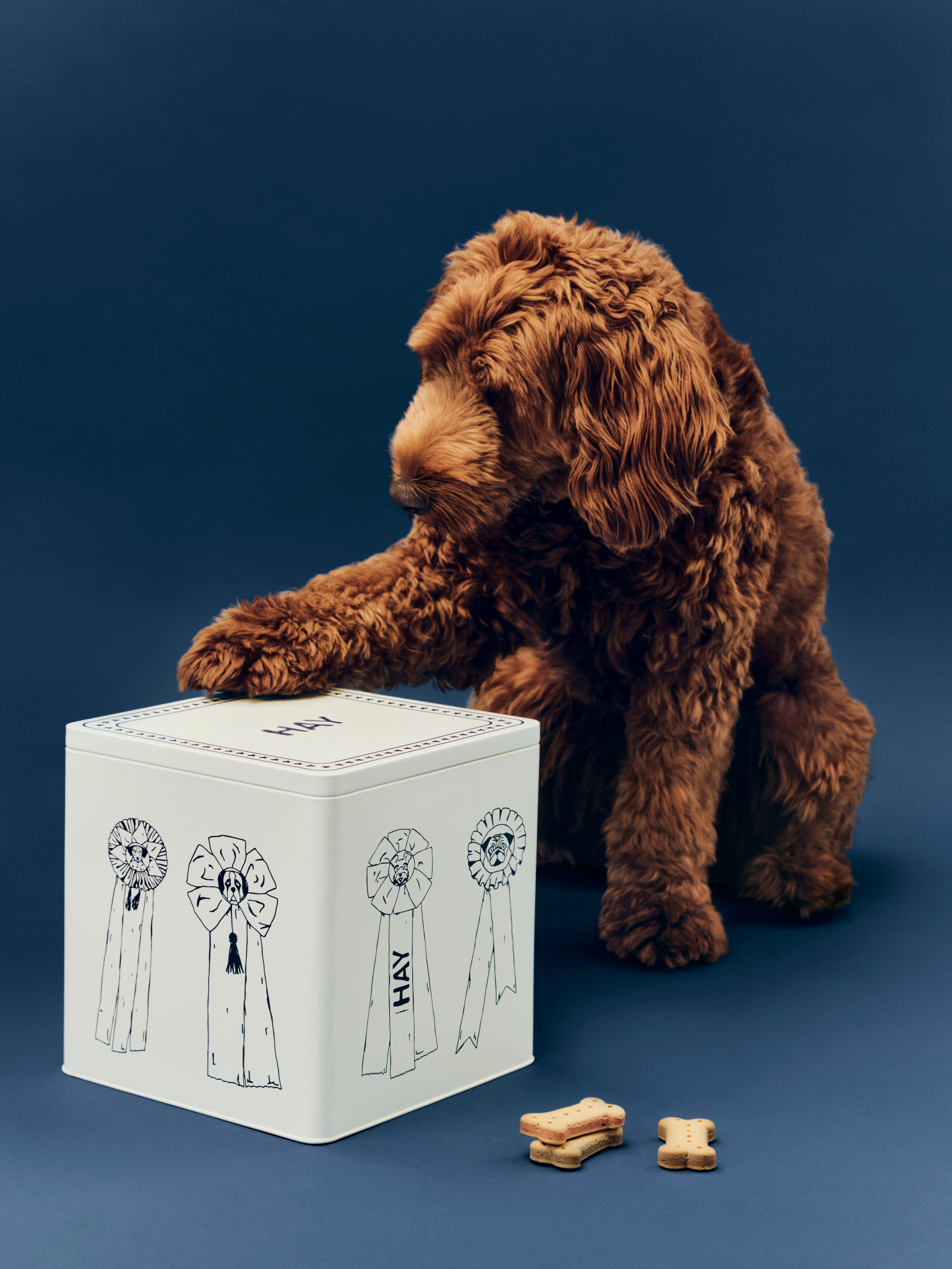HAY Dogs Food Storage Tin_01
