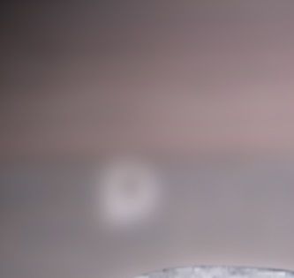 Ostéopathie animale, une médecine holistique