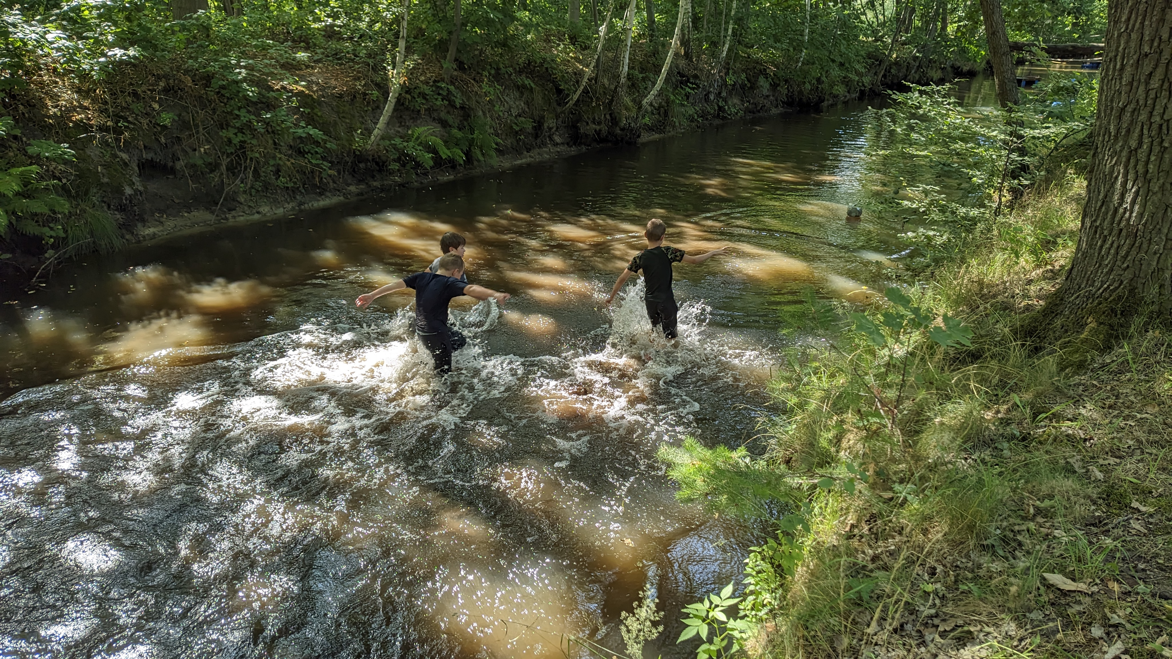 PXL_20250712_171559022