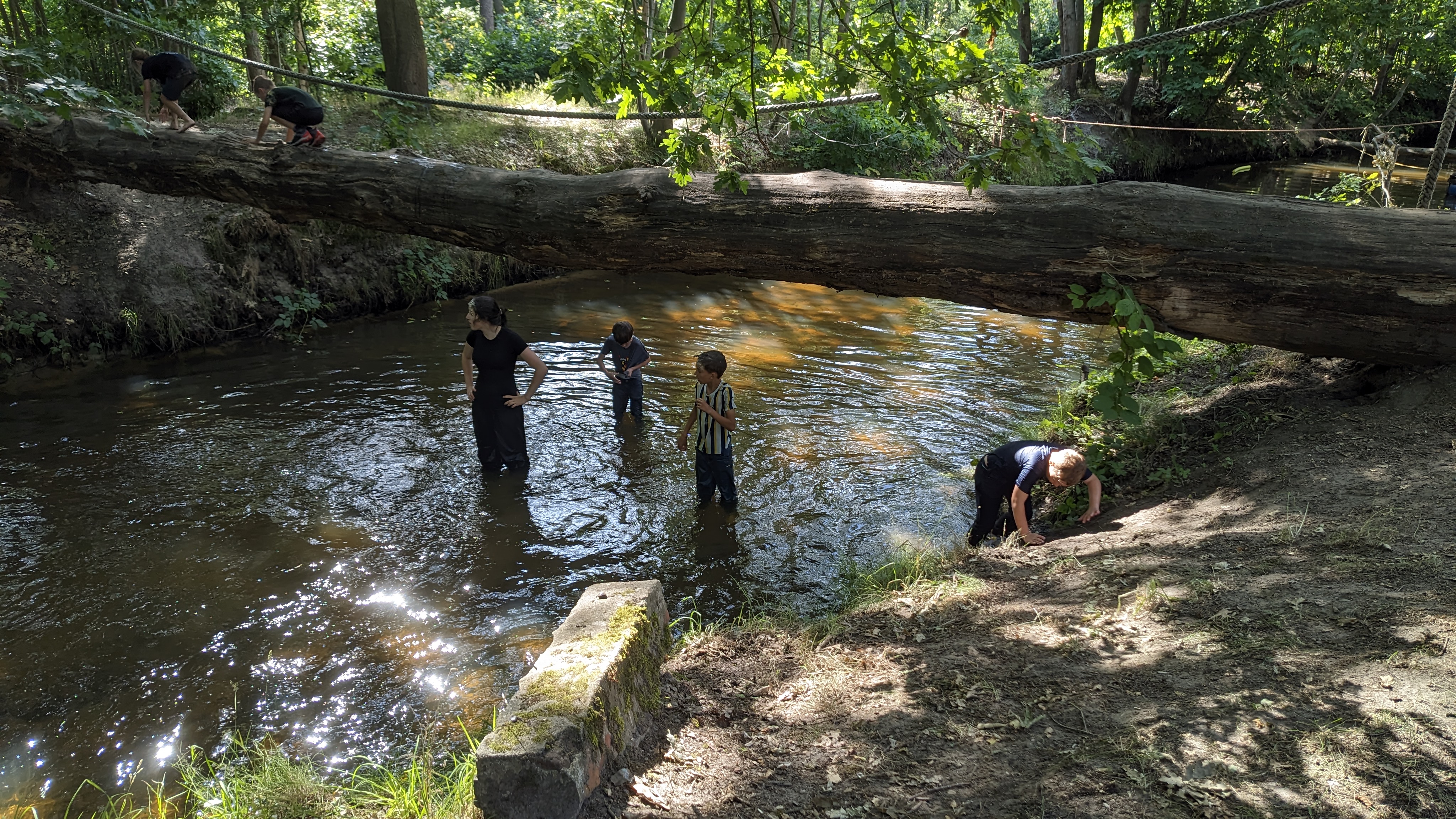 PXL_20250712_171950671