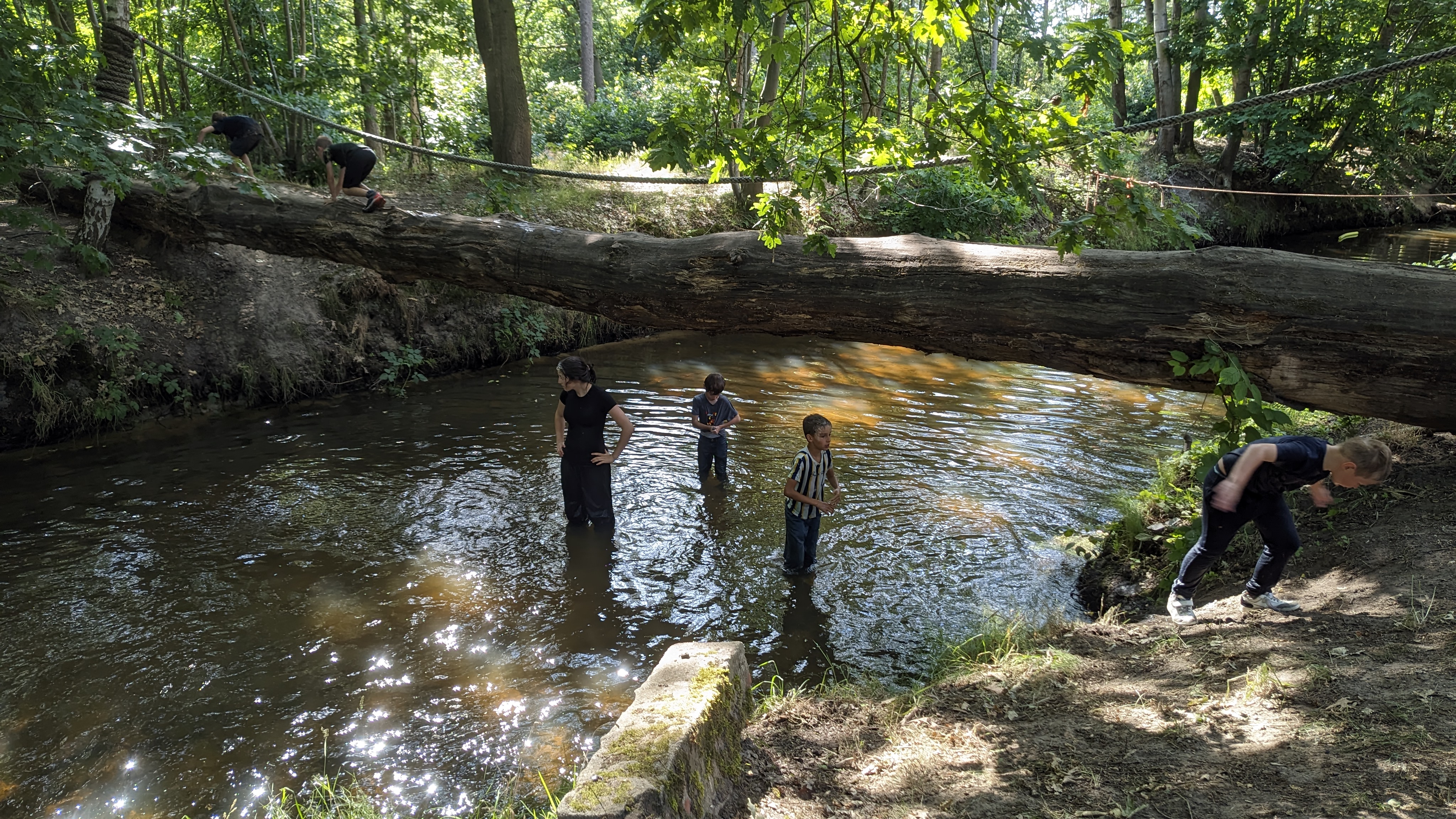 PXL_20250712_171953600