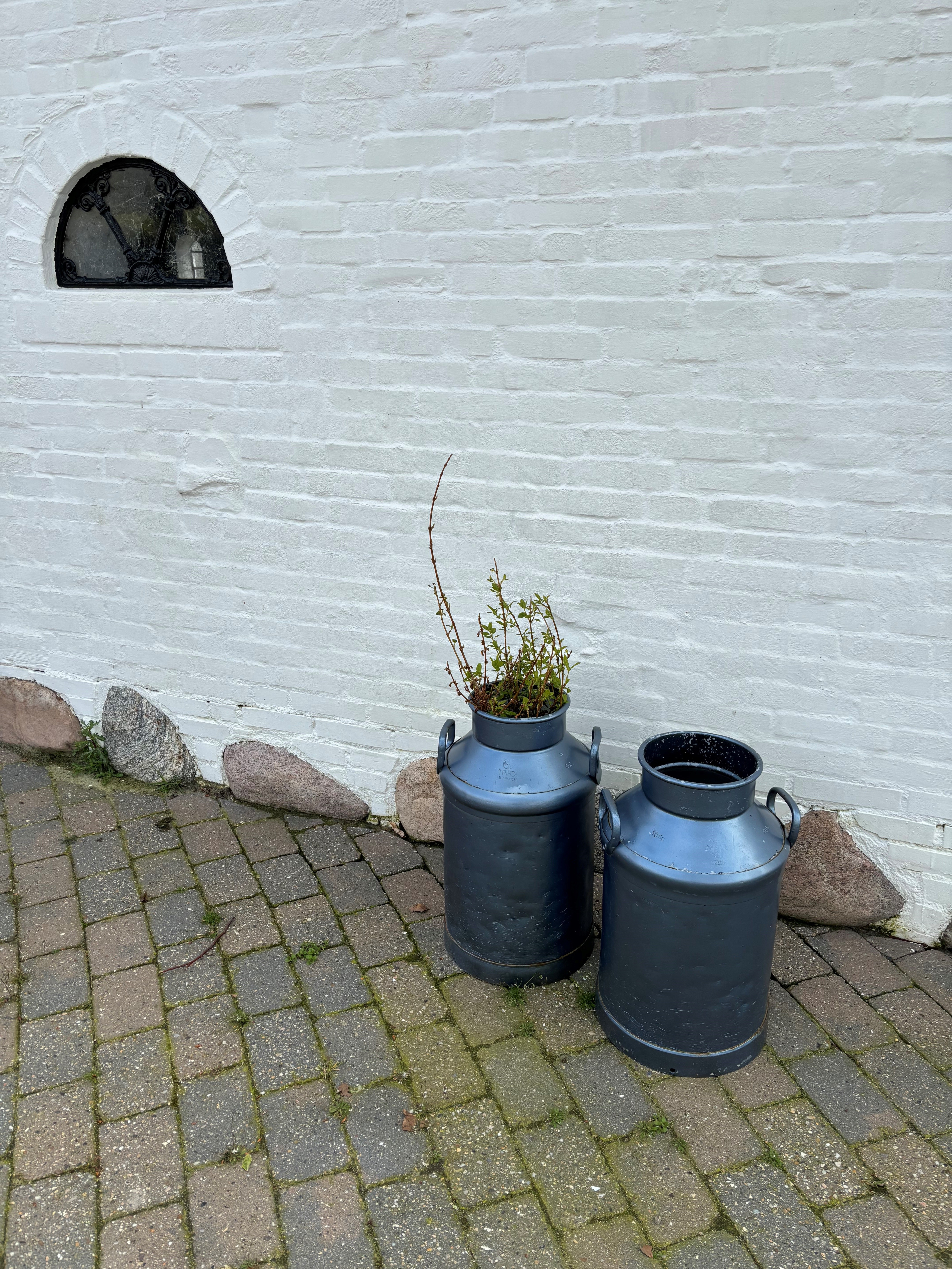 Lade med mælkejunger i forårssol - 250424.msg