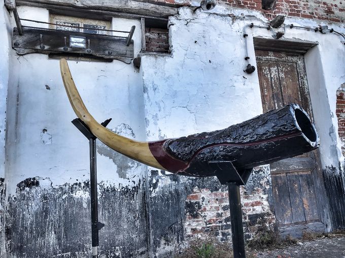 AnneFrank didgeridoo - not for sale 
gemaakt van een tak van de moederboom uit de tuin van het Achterhuis