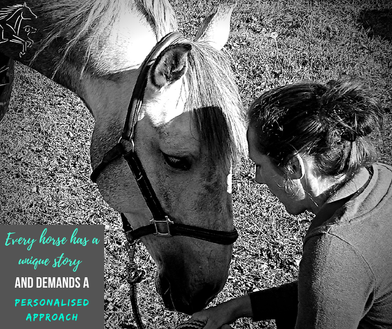 Paardenosteopathie rugproblemen Elke Schollaert