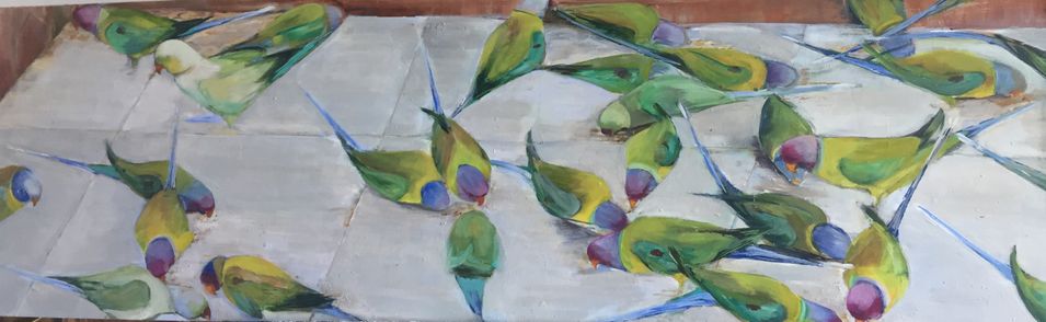 Parrots