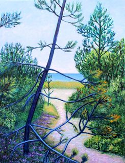 Tisvilde Hegn ved stranden