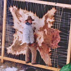 Buffalow hide tanning