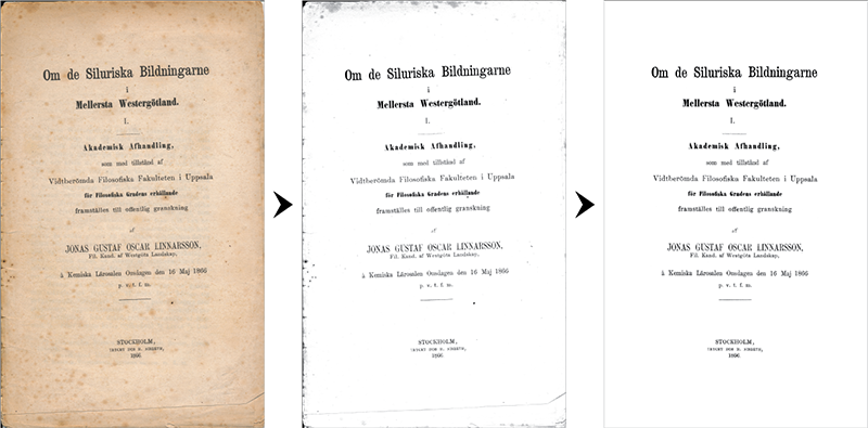The PaleoArchive process