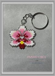 orchidée à 5.-frs