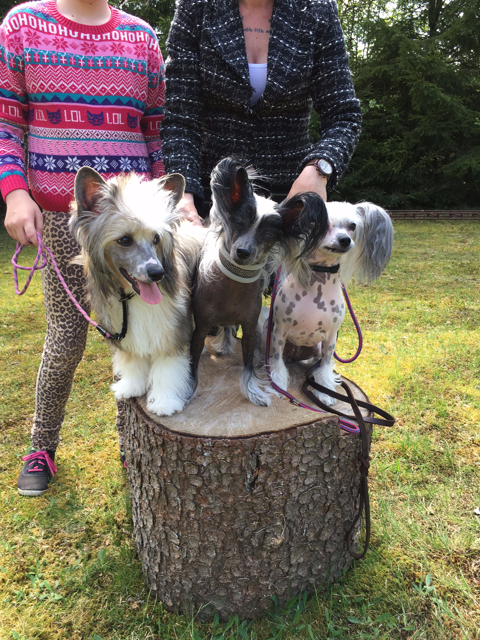 Ella, Blackie och Sonja