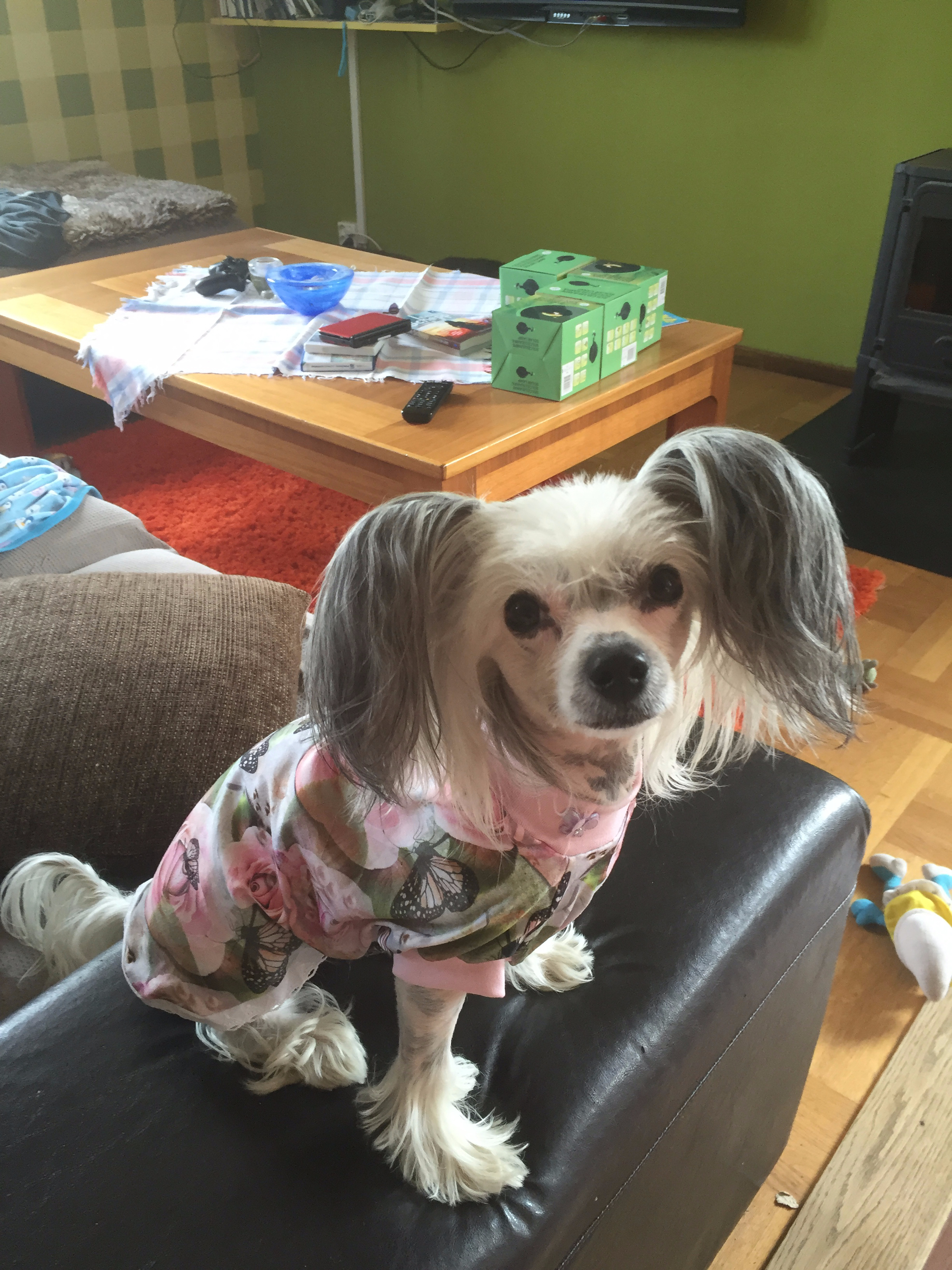 Sonja i sommarklänningen