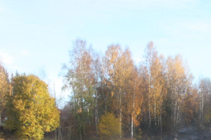 HAAPASLAMMI