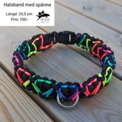 Ha 06