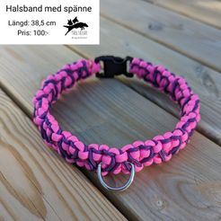 Ha 17